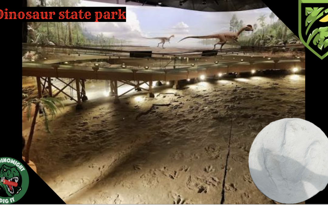 Inside Dinosaur State Park! | Our East Coast Road Trip Continues