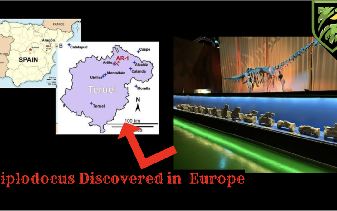 Diplodocus Has Been Found in Spain! | The First Outside North America