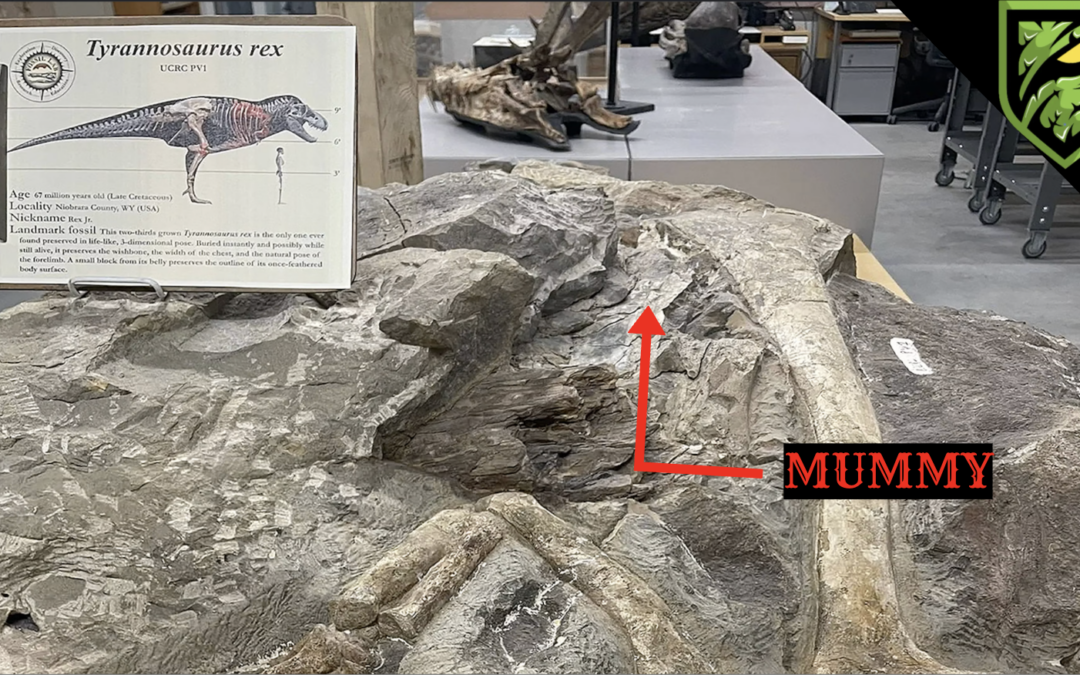 The T. rex Mummy That Could Change Everything | Did T. rex Have Feathers?